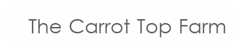 Carrot Top Farm home/logo